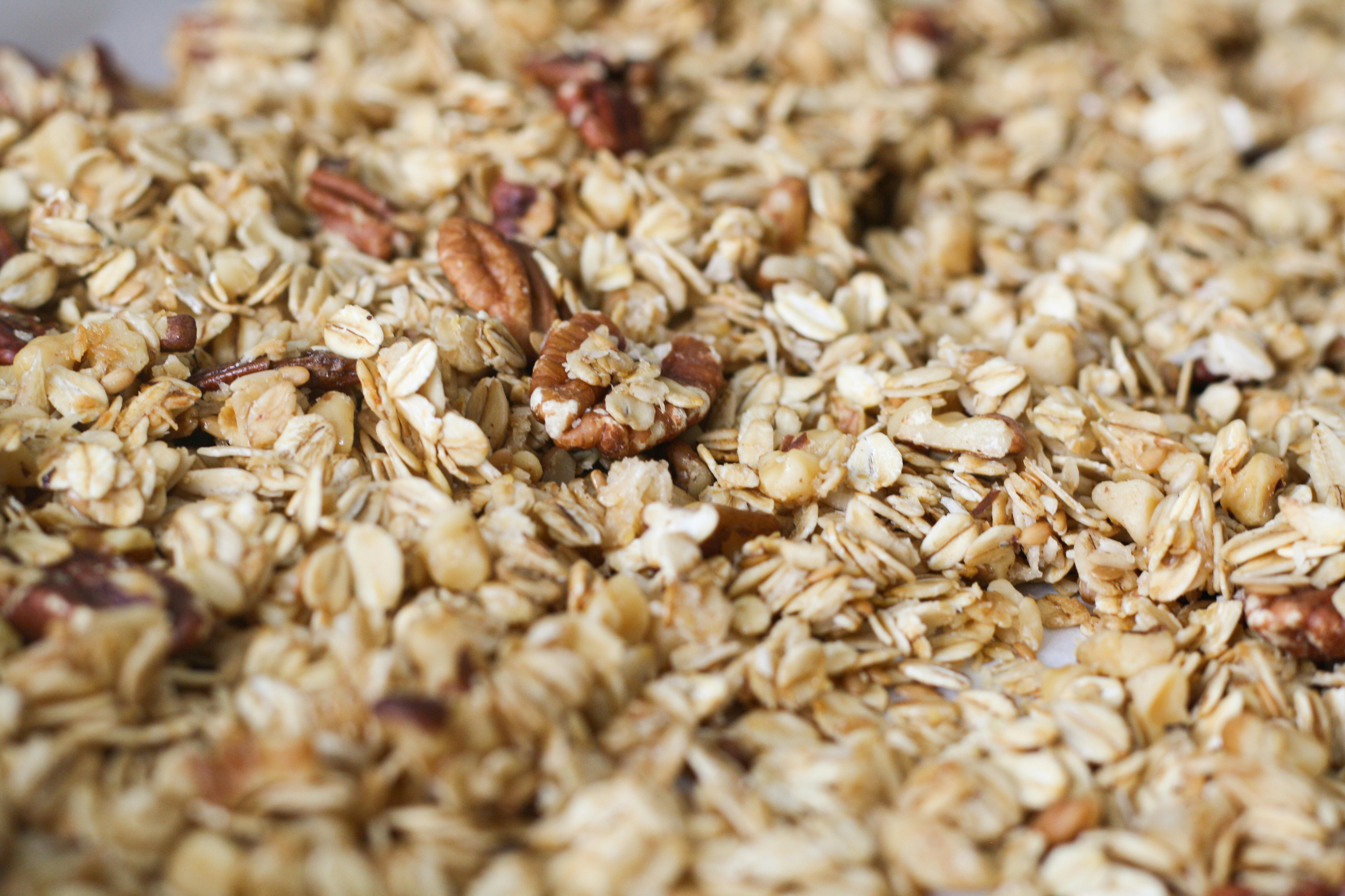 Best 5 Hill Science Diet Dog Food Options for Better Health