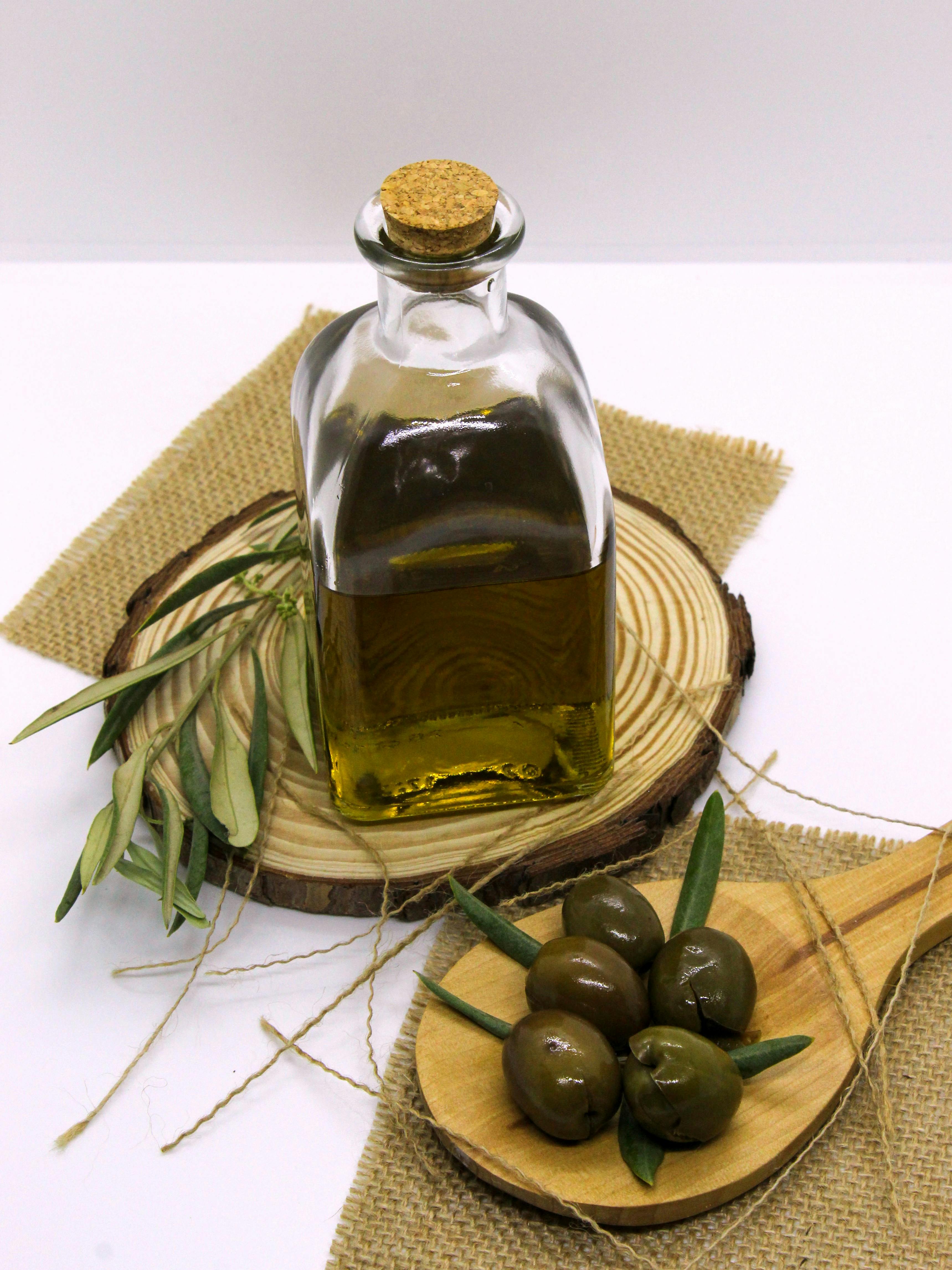 Effective Ways to Choose Eucalyptus-Consuming Animals in 2025