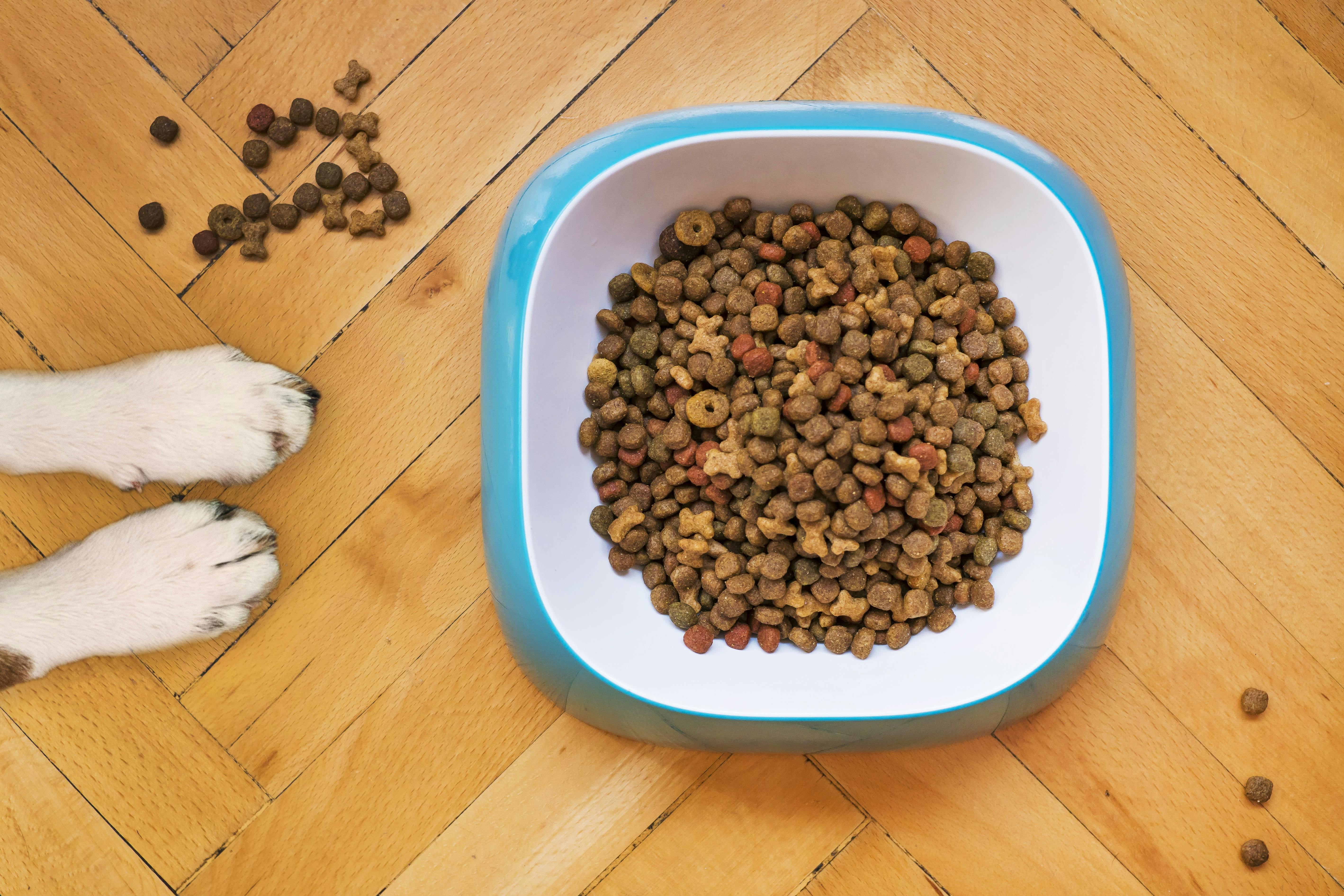 Smart Ways to Optimize Your Zigzag Diet in 2025